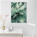 Picture of Green Ferns _GroupedProduct_Rectangle_Portrait_Photography _GroupedProduct_Rectangle_Portrait_Unframed_Print_Only_