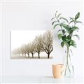 Picture of Lined Up Trees _GroupedProduct_Rectangle_Landscape_Photography _GroupedProduct_Rectangle_Landscape_Unframed_Print_Only_