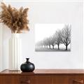 Picture of Lined Up Trees _GroupedProduct_Rectangle_Landscape_Photography _GroupedProduct_Rectangle_Landscape_Unframed_Print_Only_