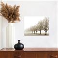 Picture of Lined Up Trees _GroupedProduct_Rectangle_Landscape_Photography _GroupedProduct_Rectangle_Landscape_Unframed_Print_Only_
