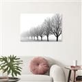 Picture of Lined Up Trees _GroupedProduct_Rectangle_Landscape_Photography _GroupedProduct_Rectangle_Landscape_Unframed_Print_Only_