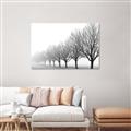Picture of Lined Up Trees _GroupedProduct_Rectangle_Landscape_Photography _GroupedProduct_Rectangle_Landscape_Unframed_Print_Only_