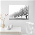 Picture of Lined Up Trees _GroupedProduct_Rectangle_Landscape_Photography _GroupedProduct_Rectangle_Landscape_Unframed_Print_Only_