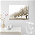 Picture of Lined Up Trees _GroupedProduct_Rectangle_Landscape_Photography _GroupedProduct_Rectangle_Landscape_Unframed_Print_Only_
