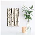 Picture of Birch Logs _GroupedProduct_Rectangle_Portrait_Photography _GroupedProduct_Rectangle_Portrait_Unframed_Print_Only_