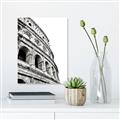 Picture of Colosseum  _GroupedProduct_Rectangle_Portrait_Photography _GroupedProduct_Rectangle_Portrait_Unframed_Print_Only_