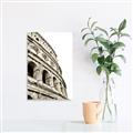 Picture of Colosseum  _GroupedProduct_Rectangle_Portrait_Photography _GroupedProduct_Rectangle_Portrait_Unframed_Print_Only_
