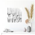 Picture of B&W Flowers end _GroupedProduct_Square_Photography _GroupedProduct_Square_Unframed_Print_Only_
