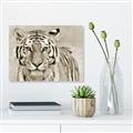 Picture of Big Tiger _GroupedProduct_Rectangle_Landscape_Photography _GroupedProduct_Rectangle_Landscape_Unframed_Print_Only_