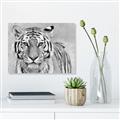 Picture of Big Tiger _GroupedProduct_Rectangle_Landscape_Photography _GroupedProduct_Rectangle_Landscape_Unframed_Print_Only_