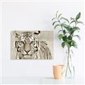 Picture of Big Tiger _GroupedProduct_Rectangle_Landscape_Photography _GroupedProduct_Rectangle_Landscape_Unframed_Print_Only_