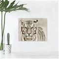 Picture of Big Tiger _GroupedProduct_Rectangle_Landscape_Photography _GroupedProduct_Rectangle_Landscape_Unframed_Print_Only_