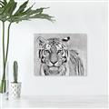 Picture of Big Tiger _GroupedProduct_Rectangle_Landscape_Photography _GroupedProduct_Rectangle_Landscape_Unframed_Print_Only_