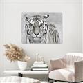 Picture of Big Tiger _GroupedProduct_Rectangle_Landscape_Photography _GroupedProduct_Rectangle_Landscape_Unframed_Print_Only_