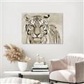 Picture of Big Tiger _GroupedProduct_Rectangle_Landscape_Photography _GroupedProduct_Rectangle_Landscape_Unframed_Print_Only_