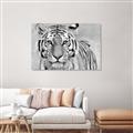 Picture of Big Tiger _GroupedProduct_Rectangle_Landscape_Photography _GroupedProduct_Rectangle_Landscape_Unframed_Print_Only_
