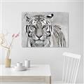 Picture of Big Tiger _GroupedProduct_Rectangle_Landscape_Photography _GroupedProduct_Rectangle_Landscape_Unframed_Print_Only_