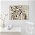 Picture of Big Tiger _GroupedProduct_Rectangle_Landscape_Photography _GroupedProduct_Rectangle_Landscape_Unframed_Print_Only_