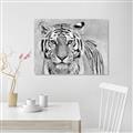 Picture of Big Tiger _GroupedProduct_Rectangle_Landscape_Photography _GroupedProduct_Rectangle_Landscape_Unframed_Print_Only_