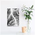Picture of Web of Trees _GroupedProduct_Rectangle_Portrait_Photography _GroupedProduct_Rectangle_Portrait_Unframed_Print_Only_