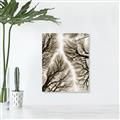 Picture of Web of Trees _GroupedProduct_Rectangle_Portrait_Photography _GroupedProduct_Rectangle_Portrait_Unframed_Print_Only_