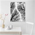 Picture of Web of Trees _GroupedProduct_Rectangle_Portrait_Photography _GroupedProduct_Rectangle_Portrait_Unframed_Print_Only_