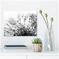 Picture of Dandilion bliss _GroupedProduct_Rectangle_Landscape_Photography _GroupedProduct_Rectangle_Landscape_Unframed_Print_Only_