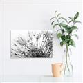 Picture of Dandilion bliss _GroupedProduct_Rectangle_Landscape_Photography _GroupedProduct_Rectangle_Landscape_Unframed_Print_Only_