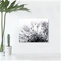 Picture of Dandilion bliss _GroupedProduct_Rectangle_Landscape_Photography _GroupedProduct_Rectangle_Landscape_Unframed_Print_Only_