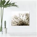 Picture of Dandilion bliss _GroupedProduct_Rectangle_Landscape_Photography _GroupedProduct_Rectangle_Landscape_Unframed_Print_Only_