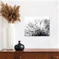 Picture of Dandilion bliss _GroupedProduct_Rectangle_Landscape_Photography _GroupedProduct_Rectangle_Landscape_Unframed_Print_Only_