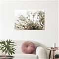 Picture of Dandilion bliss _GroupedProduct_Rectangle_Landscape_Photography _GroupedProduct_Rectangle_Landscape_Unframed_Print_Only_