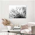 Picture of Dandilion bliss _GroupedProduct_Rectangle_Landscape_Photography _GroupedProduct_Rectangle_Landscape_Unframed_Print_Only_