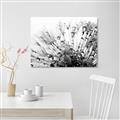 Picture of Dandilion bliss _GroupedProduct_Rectangle_Landscape_Photography _GroupedProduct_Rectangle_Landscape_Unframed_Print_Only_