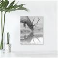 Picture of Elk in the Wild _GroupedProduct_Rectangle_Portrait_Photography _GroupedProduct_Rectangle_Portrait_Unframed_Print_Only_