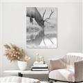 Picture of Elk in the Wild _GroupedProduct_Rectangle_Portrait_Photography _GroupedProduct_Rectangle_Portrait_Unframed_Print_Only_