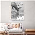 Picture of Elk in the Wild _GroupedProduct_Rectangle_Portrait_Photography _GroupedProduct_Rectangle_Portrait_Unframed_Print_Only_