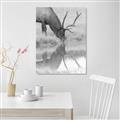 Picture of Elk in the Wild _GroupedProduct_Rectangle_Portrait_Photography _GroupedProduct_Rectangle_Portrait_Unframed_Print_Only_