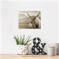 Picture of Furry highland cow _GroupedProduct_Rectangle_Landscape_Photography _GroupedProduct_Rectangle_Landscape_Unframed_Print_Only_