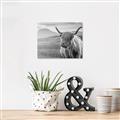 Picture of Furry highland cow _GroupedProduct_Rectangle_Landscape_Photography _GroupedProduct_Rectangle_Landscape_Unframed_Print_Only_