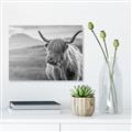 Picture of Furry highland cow _GroupedProduct_Rectangle_Landscape_Photography _GroupedProduct_Rectangle_Landscape_Unframed_Print_Only_