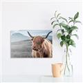 Picture of Furry highland cow _GroupedProduct_Rectangle_Landscape_Photography _GroupedProduct_Rectangle_Landscape_Unframed_Print_Only_
