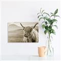 Picture of Furry highland cow _GroupedProduct_Rectangle_Landscape_Photography _GroupedProduct_Rectangle_Landscape_Unframed_Print_Only_