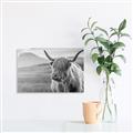 Picture of Furry highland cow _GroupedProduct_Rectangle_Landscape_Photography _GroupedProduct_Rectangle_Landscape_Unframed_Print_Only_