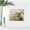 Picture of Furry highland cow _GroupedProduct_Rectangle_Landscape_Photography _GroupedProduct_Rectangle_Landscape_Unframed_Print_Only_