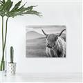 Picture of Furry highland cow _GroupedProduct_Rectangle_Landscape_Photography _GroupedProduct_Rectangle_Landscape_Unframed_Print_Only_