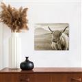 Picture of Furry highland cow _GroupedProduct_Rectangle_Landscape_Photography _GroupedProduct_Rectangle_Landscape_Unframed_Print_Only_