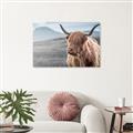 Picture of Furry highland cow _GroupedProduct_Rectangle_Landscape_Photography _GroupedProduct_Rectangle_Landscape_Unframed_Print_Only_