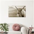 Picture of Furry highland cow _GroupedProduct_Rectangle_Landscape_Photography _GroupedProduct_Rectangle_Landscape_Unframed_Print_Only_