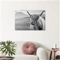 Picture of Furry highland cow _GroupedProduct_Rectangle_Landscape_Photography _GroupedProduct_Rectangle_Landscape_Unframed_Print_Only_